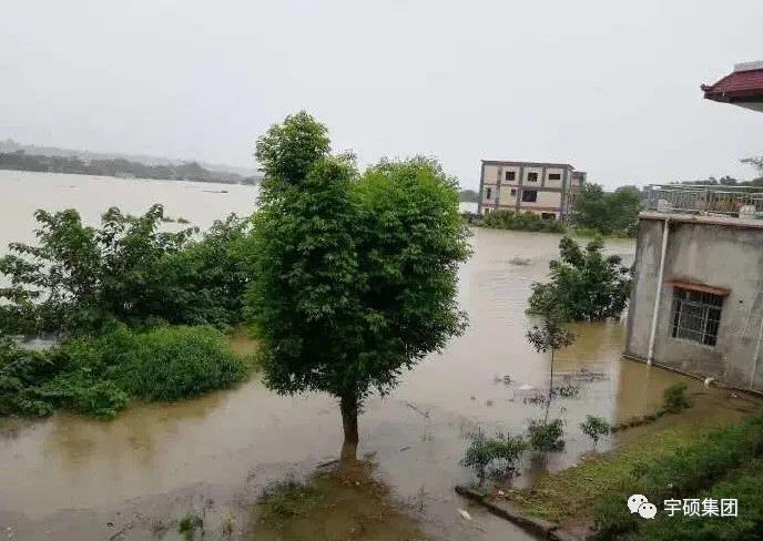 宇硕集团 宇硕集团